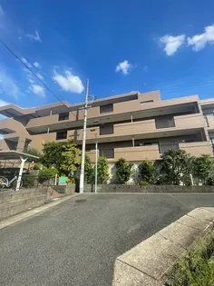 レージュフェイマス【1階】の外観