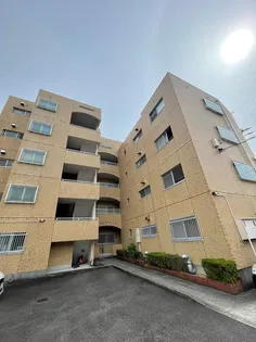 ロジィングス藤井の画像