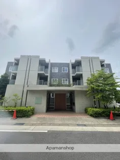 グリシーヌ藤英の画像