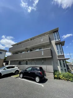 ソレイユ菅田の画像