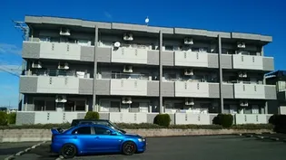 Mグランツの画像