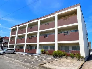 ハイツエスカイア【00302号室】の外観