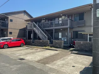 パイン ウォールの画像