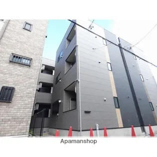 STELLA FORTIS 名楽の画像