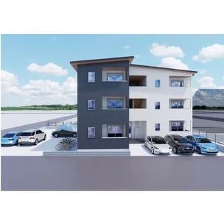 ブルームひまわりの画像