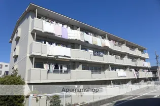 ラ オプス今本の画像