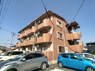 セレッソ21の画像