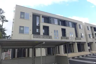 プリンセス ツリー Iの画像