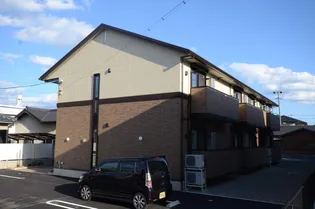 ヴィズダムの画像