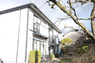 ドミール白沢 A【101号室号室】の外観