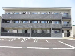 サニーオレンジの画像