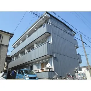 ステーブル ボーの画像