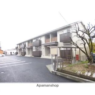 インテレクトの画像