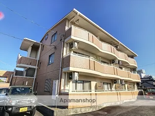 ファインの画像