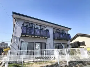 ルートカメリアの画像