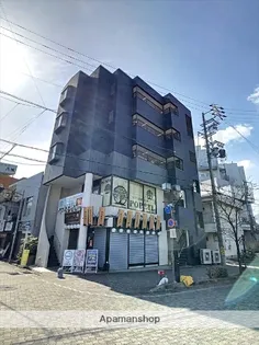 スカイルサクラの画像