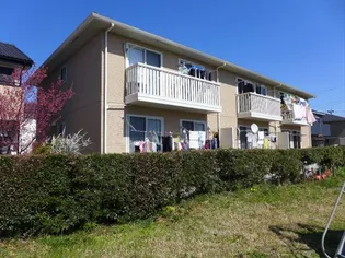 フェリーチェの画像