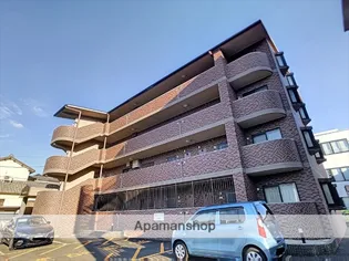 スールセレッソの画像