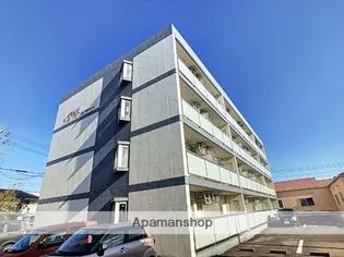 ソフィアライトの画像