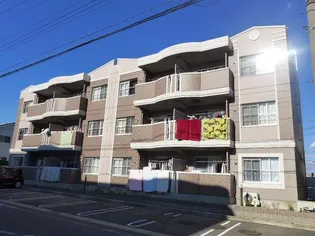 グレイス一ツ木Ⅰ【2階】の外観