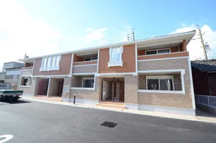 フィデールNの画像