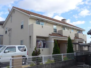 サニースポットの画像