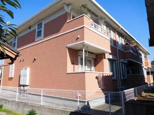 エバーグリーンの画像