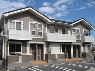 T&Mカーサの画像