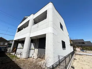 プティ ベールの画像