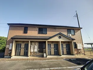 アンプルール リーブル SOLEADOⅡの画像