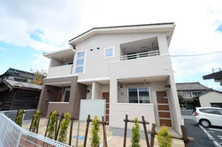 プラシードヴィータの画像