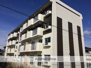 エル ブルックの画像