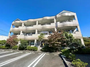 エトワールⅡの画像