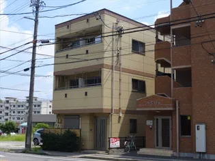 グレースエヌの画像