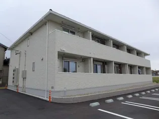 プリムラの画像