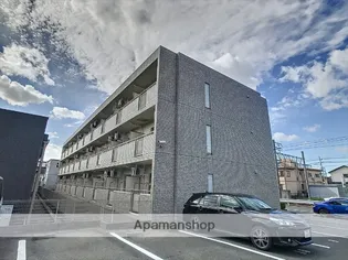 コモンガル小垣江の画像