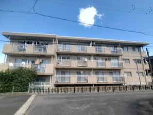 アイリス八橋の画像