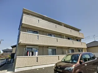 アムール中手の画像