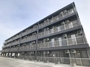 タイムD1の画像