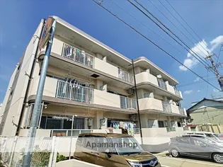 パレス バンの画像