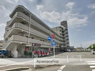 ペルテ花菱の画像