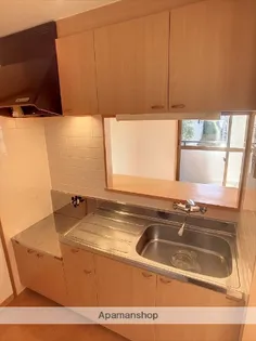 グリーンデルワールド舘【103号室】のキッチン