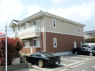 プランドールMの画像