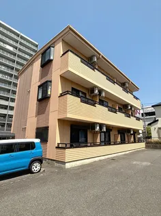 SUNSUN都の画像