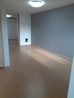 シェーネスハイム【202号室】の居間