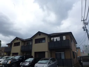 アンプルール リーブル BLOOMの画像