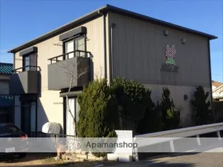 サルビア Bの画像