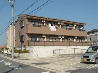 ブルーハイツの画像