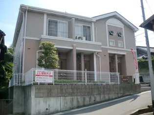 プリムローズの画像