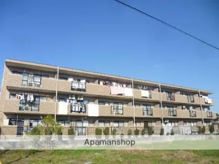 TステージミカーレⅠの画像